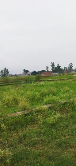 Golden gate Main Image 1