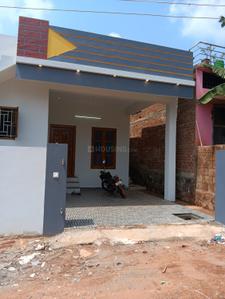 Image of 1000 Sq.ft 2 BHK Independent House for sale in N G O Colony, Nagercoil for Rs. 4400000