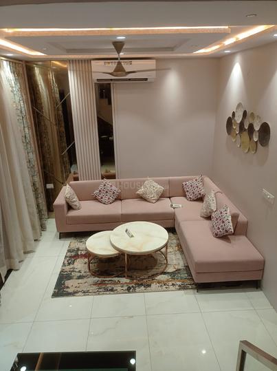 Royal Gravitaz Main Image 1