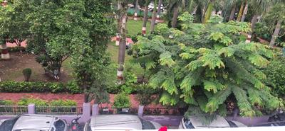 Image of 1500 Sq.ft 2 BHK Independent House for rent in Sukhliya, Indore for Rs. 14000