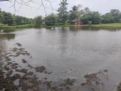Image of 1089 Sq.ft Residential Plot / Land for sale in Red Feet Plots, Vindhane, Navi Mumbai for Rs. 650000