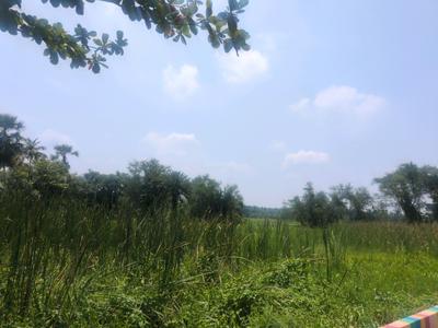 Residential Plot