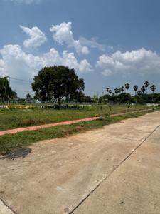 Residential Plot