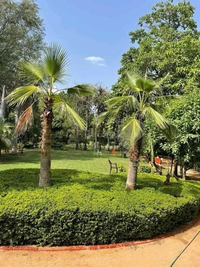 South City I, Sector 41 More Images 1