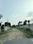 Tiparpur Plot View 2