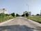 Soha Neal City Internal Roads 2