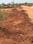 Maheshwaram Plot View 2