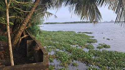 Image of 9146 Sq.ft Residential Plot / Land for sale in Maradu, Kochi for Rs. 29400000