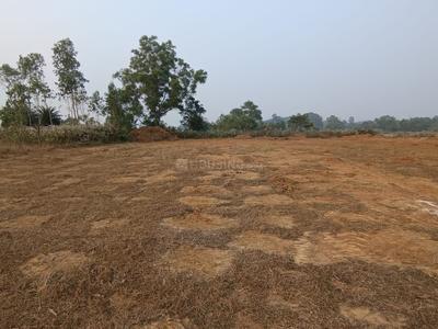 Image of 2150 Sq.ft Residential Plot / Land for sale in Athagarh, Cuttack for Rs. 1850000