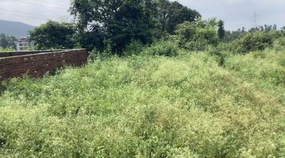 Image of 980 Sq.ft Residential Plot / Land for sale in Dhaulas, Dehradun for Rs. 1800000