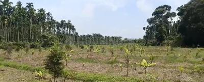 Image of 1200 Sq.ft Residential Plot / Land for sale in Varuna, Mysore for Rs. 13300000