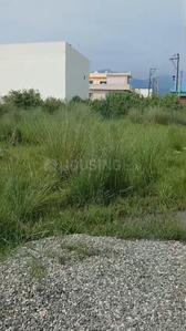 Image of 3025 Sq.ft Residential Plot / Land for sale in Miyawala, Dehradun for Rs. 12500000