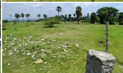 Kannankurichi Plot View 2