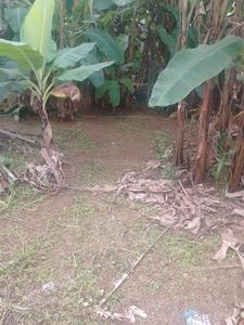 Image of 4792 Sq.ft Residential Plot / Land for sale in Ramavarmapuram, Thrissur for Rs. 675000