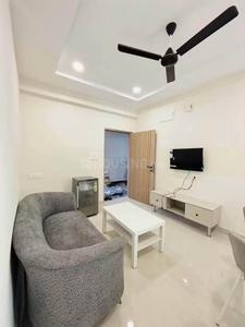 Hall Image of 950 Sq.ft 2 BHK Apartment / Flat for rent in Majestique New Friends, Kothrud Pune for Rs. 31000