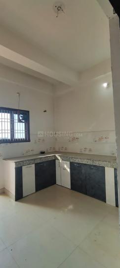 Apperment  Kitchen 1