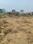Magnus Elite Homes Plot View 2