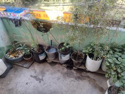 Balcony Image of 400 Sq.ft 1 BHK Apartment / Flat for sale in Sukhliya Indore for Rs. 1400000