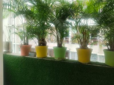 Image of 1350 Sq.ft 2 BHK Builder Floor for sale in GMS Road, Dehradun for Rs. 7000000