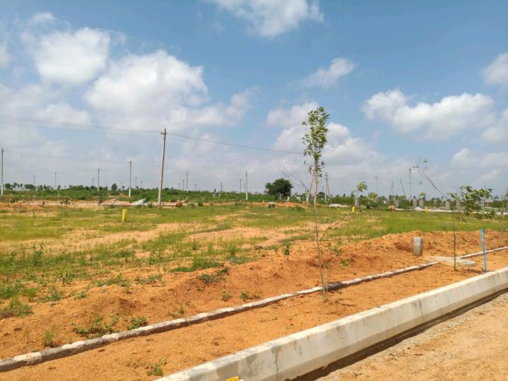 MS Developers Main Image 1