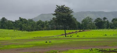 Image of 14900 Sq.ft Residential Plot / Land for sale in Shahapur, Thane for Rs. 2625000