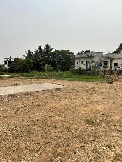 Nagaon Main Image 1