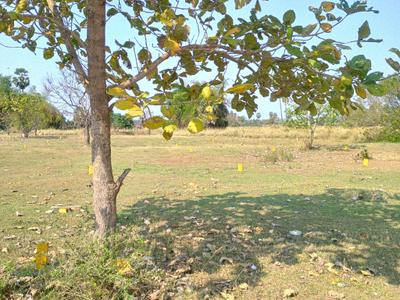 Image of 1000 Sq.ft Residential Plot / Land for sale in Mahabalipuram, Chennai for Rs. 1250000