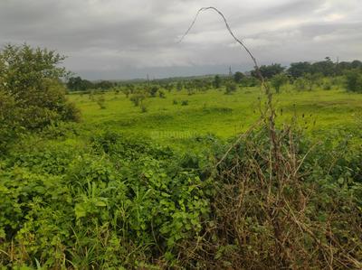 Image of 34846 Sq.ft Residential Plot / Land for sale in Murbad, Thane for Rs. 4960000