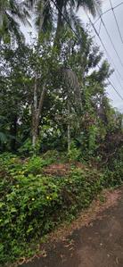 Image of 2352 Sq.ft Residential Plot / Land for sale in Government Medical College Campus, Kozhikode for Rs. 4300000
