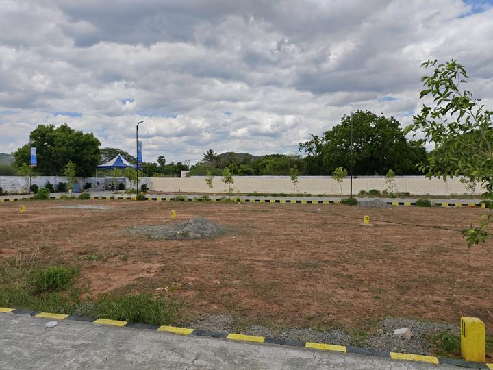 Maxx Rainbow Garden Main Image 1