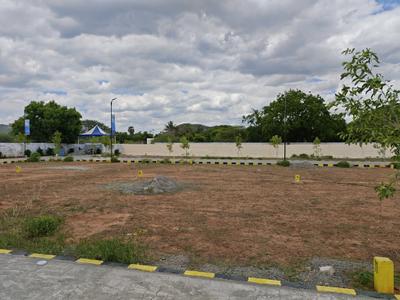 Maxx Rainbow Garden Main Image 1
