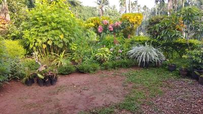 Image of 1500 Sq.ft 2 BHK Independent House for sale in Chathamangalam Grama Panchayath, Kozhikode for Rs. 3800000