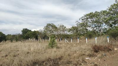 Kalangal Plot View 3