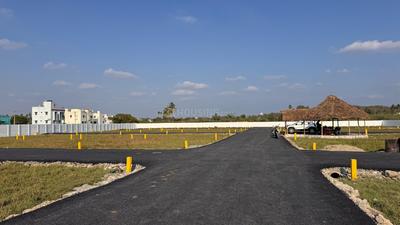 Residential Plot