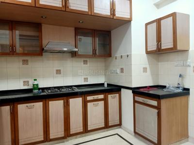 Kitchen Image of 2400 Sq.ft 3.5 BHK Apartment / Flat for rent in Ashok Nagar Jaipur for Rs. 100000