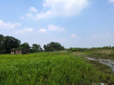 Image of 2160 Sq.ft Residential Plot / Land for sale in Natures Paradise, Joka, Kolkata for Rs. 599999