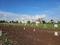 Wagholi Plot View 1