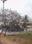 Turkayamjal Main Image 1
