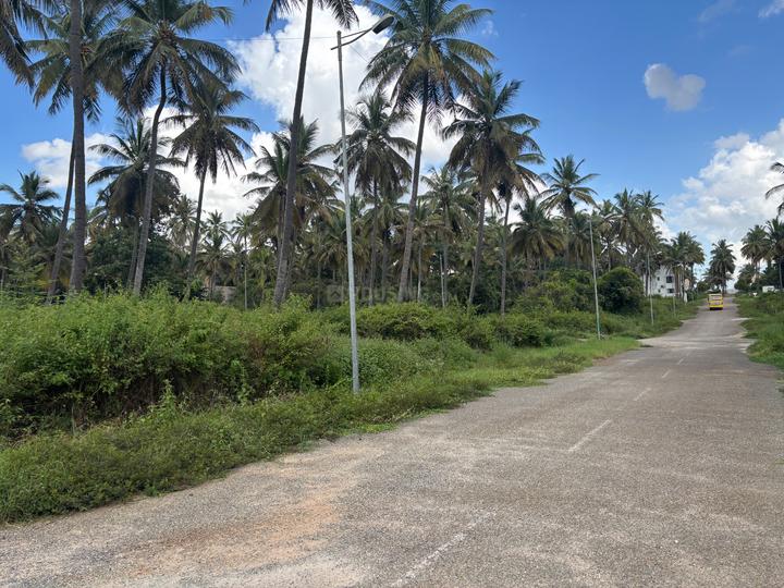 Pragathi Nesara Main Image 1