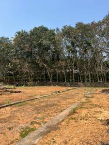 Image of 1740 Sq.ft Residential Plot / Land for sale in Manakkakadav, Kochi for Rs. 3600000