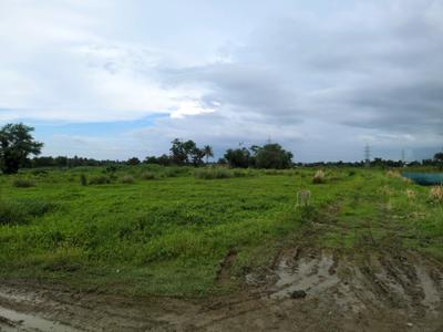 Wander Valley Plot View 2
