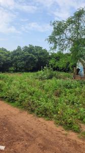 Image of 862 Sq.ft Residential Plot / Land for sale in Lala Cheruvu, Rajahmundry for Rs. 12100000