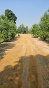 Image of 800 Sq.ft Residential Plot / Land for sale in Gosainganj, Lucknow for Rs. 1400000