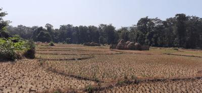 Image of 43560 Sq.ft Residential Plot / Land for sale in Kajubagh, Karwar for Rs. 3100000
