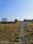 Sanwer Main Image 1