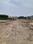 skygreen Main Image 1