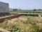 Image of 810 Sq.ft Residential Plot / Land for sale in Chhapraula, Greater Noida for Rs. 1619880