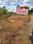 Palladam balaji garden Main Image 1