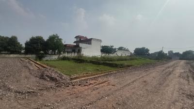 Novelty Green Plot Plot View 3