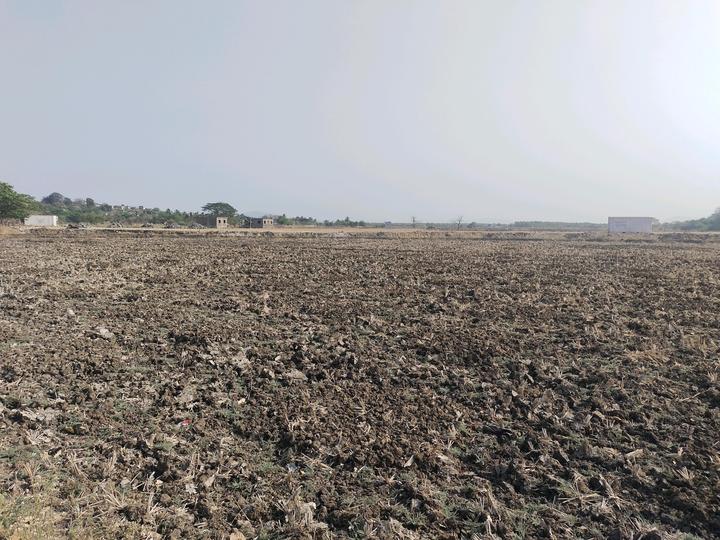 Bhoomi Plots in Vasheni Main Image 1